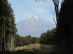 IMG_1347.jpg