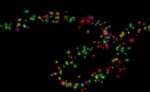 100909-p-f2.PNG