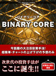 バイナリーコア検証（結果）