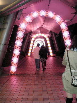 RIMG0205.jpg