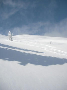 RIMG0534.jpg