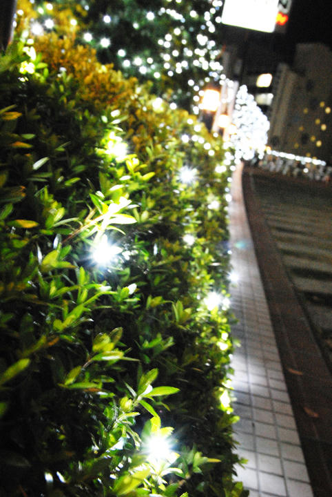 DSC_2248.jpg