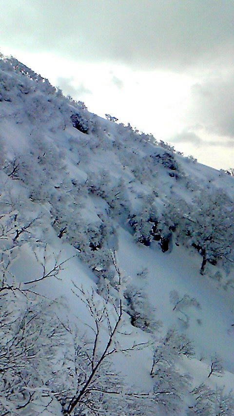 201001251252000.jpg