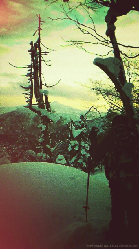 201001271605000.jpg_effected.jpg_effected.jpg