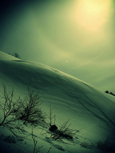 th_RIMG0439.JPG_effected.jpg