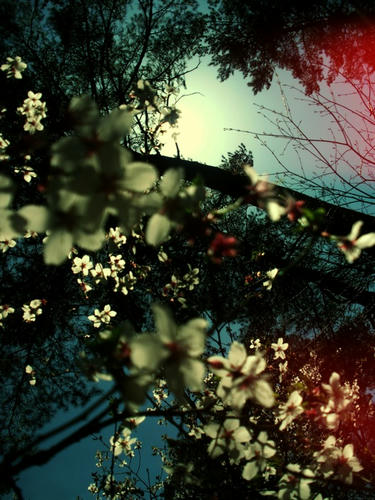 RIMG0478.JPG_effected.jpg