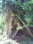 2011090901.JPG
