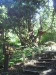 2011090902.JPG