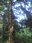 2011090903.JPG