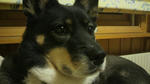 P1000012.JPG