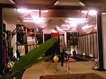100120_192352.jpg