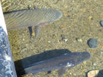 P1000416.JPG
