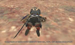 FF11.jpg