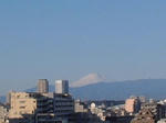 dd9a8509.jpg