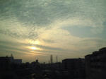 174d5b80.jpg