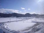 DSCI0890.jpg