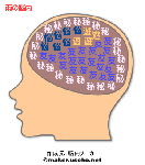脳内