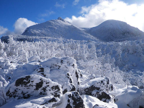 20110105.jpg