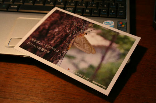 2011022102.jpg
