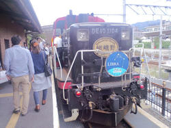 8561cf0b.jpg