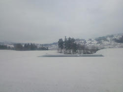 130330vsNIIGATA.jpg