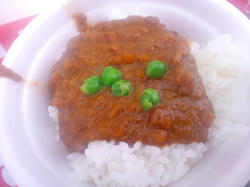 ドライカリー