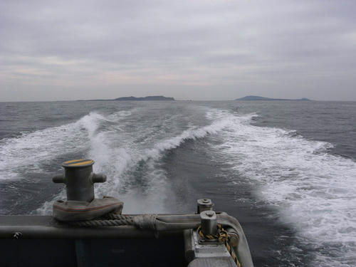 RIMG4695.jpg