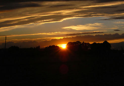 RIMG6997.jpg