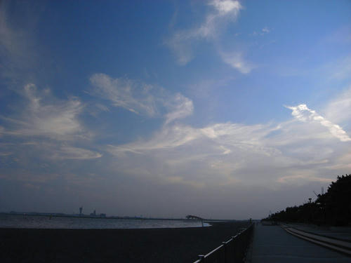 RIMG7276.jpg