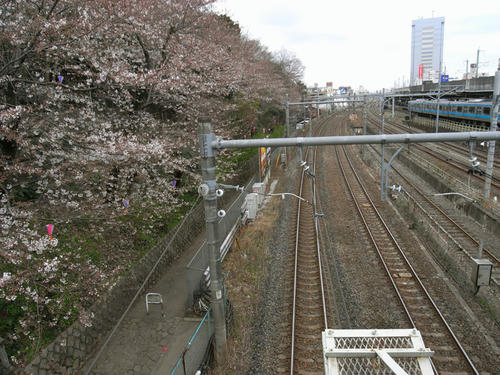 RIMG8683.jpg
