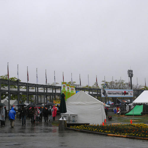 RIMG8922.jpg