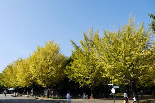 P1040625.jpg