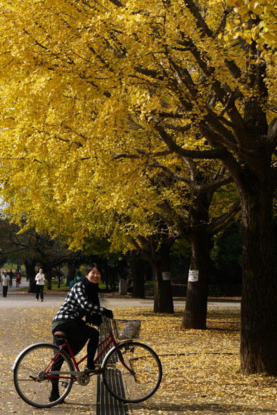 P1050099.jpg