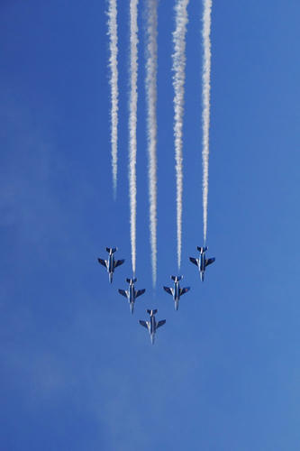 91623824.jpg
