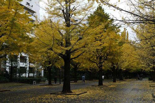 P1050351.jpg