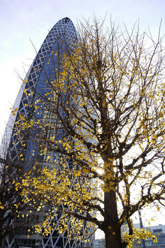 20091227_100137.jpg