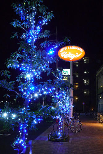 20091228_224443.jpg