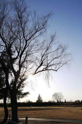 20100109_150937.jpg