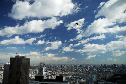 20100206_110639.jpg