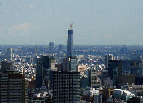20100206_110500.jpg