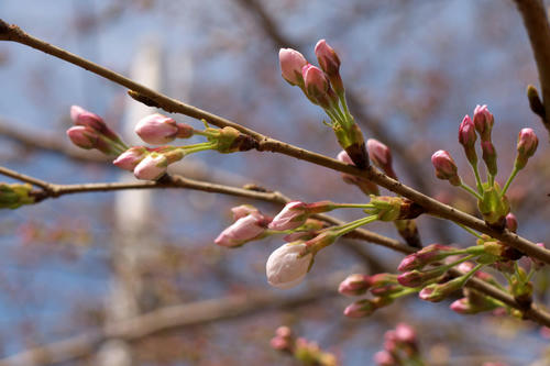 20100327_121619.jpg