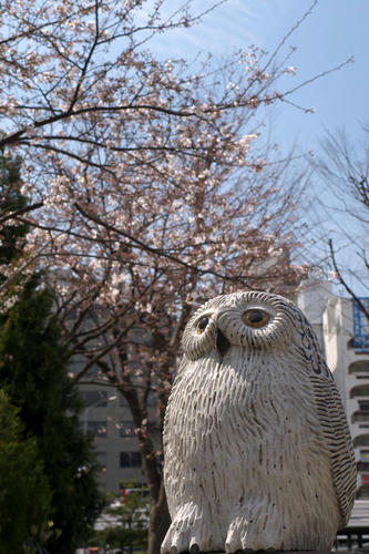 20100327_130109.jpg