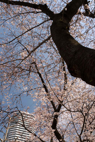 20100327_131006.jpg