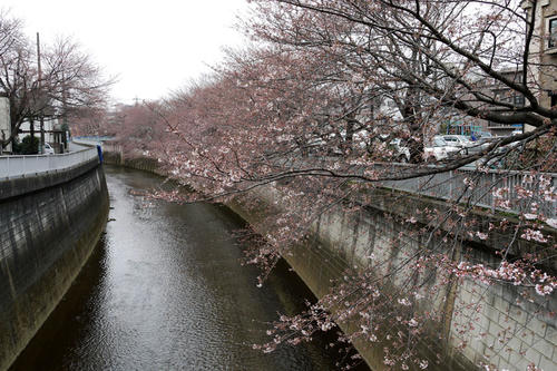 20100328_102850.jpg