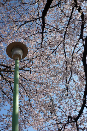 20100408_074404.jpg