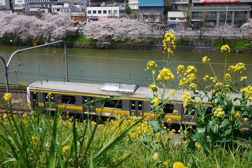 20100410_111721.jpg