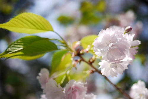 20100410_112515.jpg