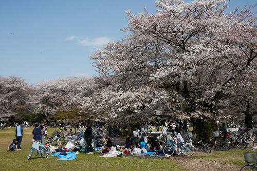 20100411_140212.jpg