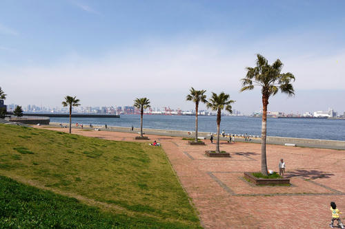 20100418_134937.jpg