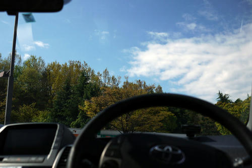 20100424_091913.jpg